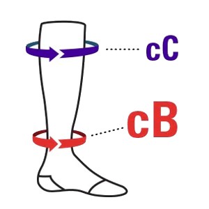 Ankle and calf circumference measurement guide