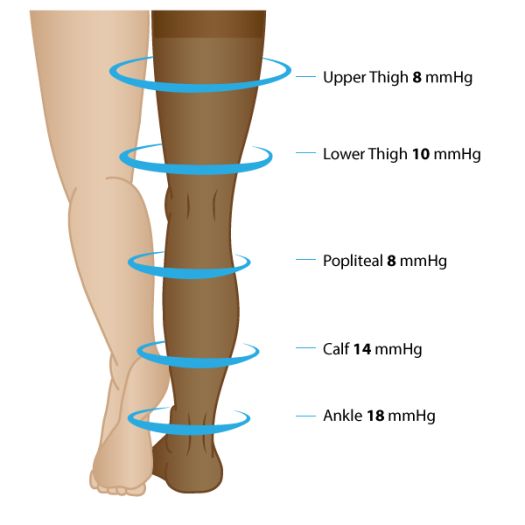 The levels of compression at different parts of the leg