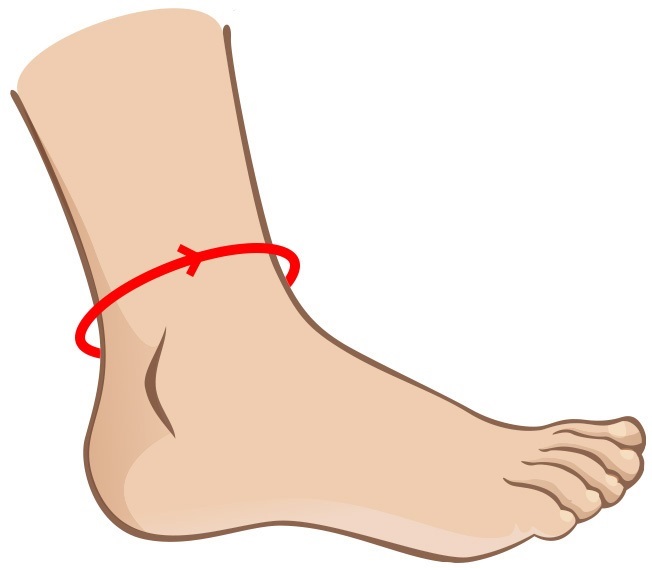 How to measure the circumference of your ankle