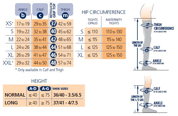 Thigh Size Chart