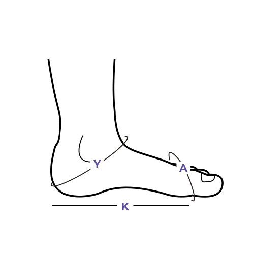 Measure the circumference of your leg at the marked points Sigvaris Measurement Guide