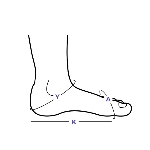 Sigvaris Measurement Guide