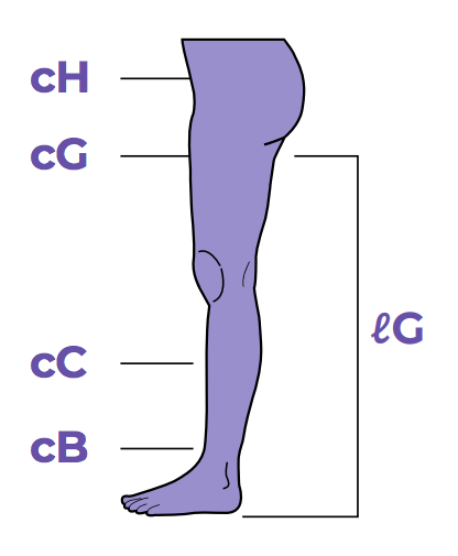 Measure the circumference of your leg and hips at the marked points Sigvaris Measurement Guide