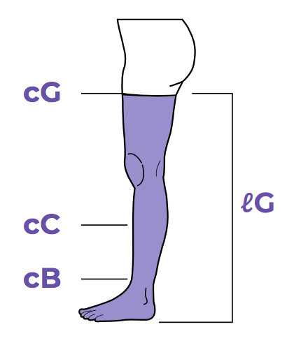 Measure the circumference of your leg at the marked points Sigvaris Measurement Guide