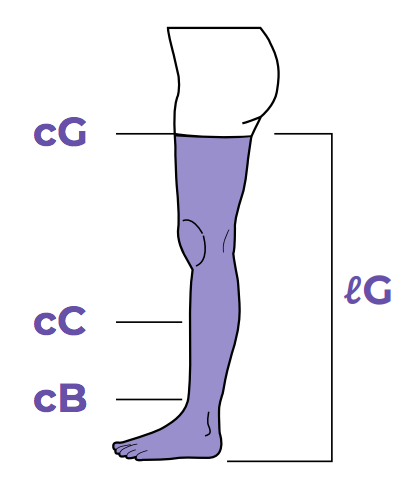 Sigvaris Compression Size Chart