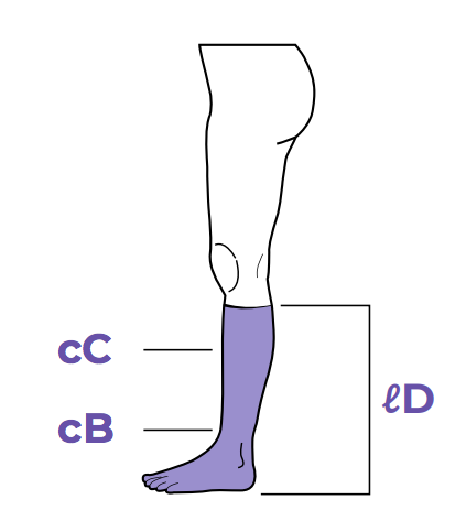 Sigvaris Measurement Guide