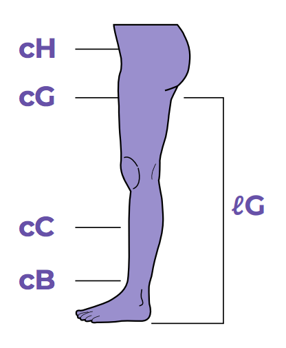 Sigvaris Measurement Guide