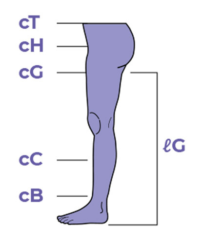 Measure the circumference of your leg and hips at the marked points Sigvaris Measurement Guide