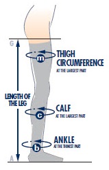 Activa Hosiery Measurement Chart