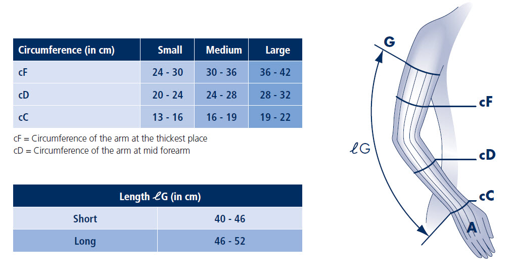 Sigvaris Cotton Size Chart